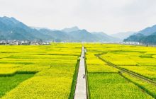 欢迎到“碧水仁家”来做客！