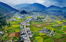 到中界 上春山 共赴一场春之约！