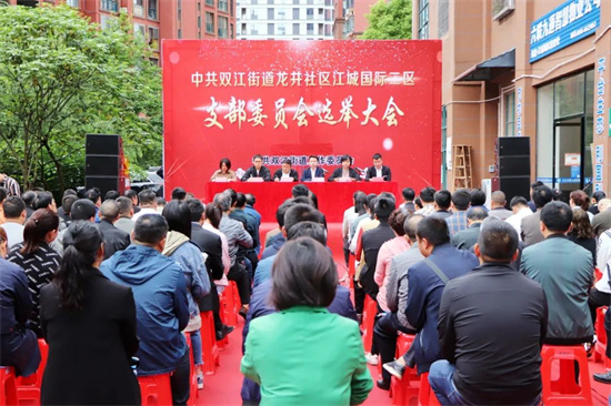 江口縣雙江街道龍井社區(qū)江城國際二區(qū)支部委員會選舉大會。