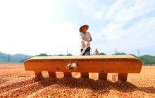 喜看稻菽千层浪 印江大地迎丰收