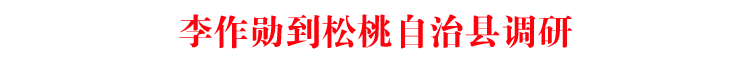 李作勋到松桃自治县调研