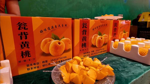 微信圖片_20250720203856