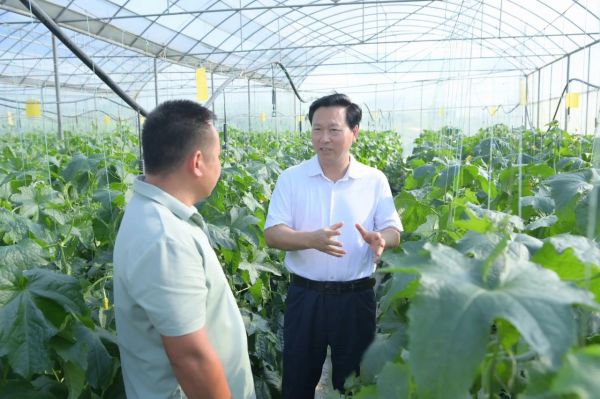 穆嵘坤赴万山区调研