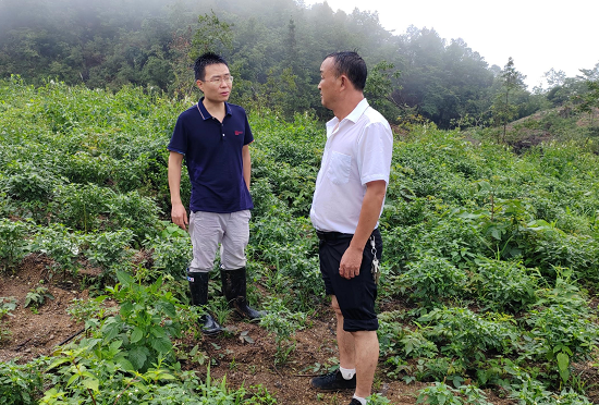 人保财险石阡支公司：雨湿衣衫鉴初心  田间验标护农利