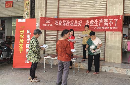 图片13