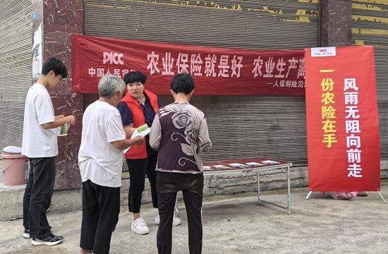 人保财险沿河支公司：农险宣传进乡镇  织密农业生产安全网