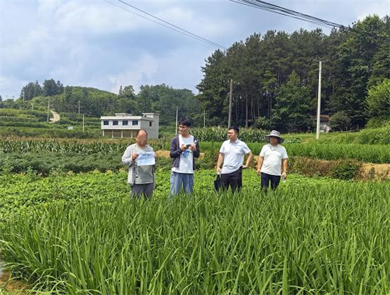 人保财险松桃支公司：精准承保、精准理赔