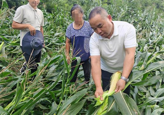 人保财险松桃支公司：高温近40℃  查勘更用心