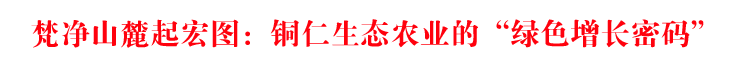 梵净山麓起宏图：铜仁生态农业的“绿色增长密码”