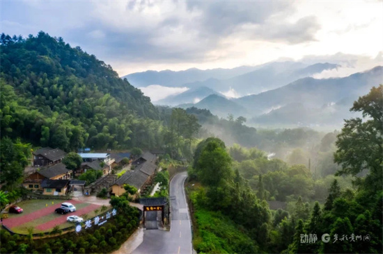 旅居梵净山 | 梵静山舍：森林康养与心灵栖息的完美融合