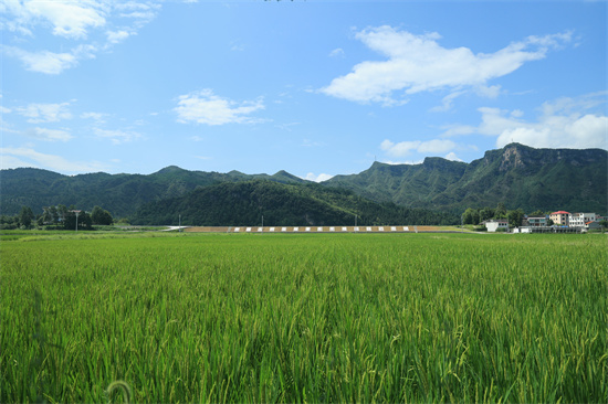 黔東糧倉優(yōu)質(zhì)糧油保供產(chǎn)業(yè)示范項目