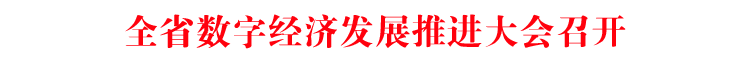 全省數(shù)字經(jīng)濟(jì)發(fā)展推進(jìn)大會(huì)召開