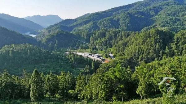 一碗金豆腐的“兩山”密碼