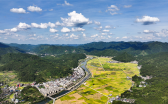 碧江瓦屋稻谷迎丰收