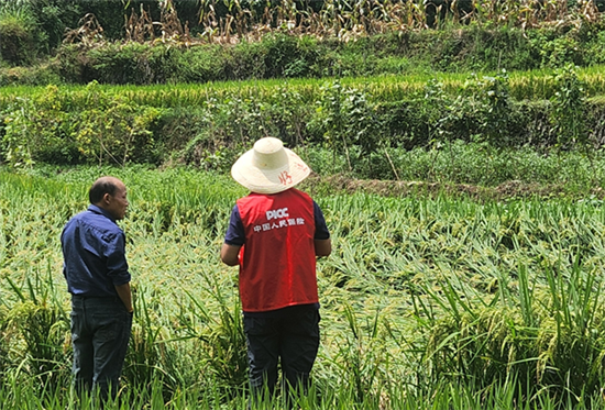 人保财险万山支公司：心系农户  现场查损暖人心