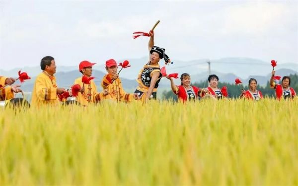 9月6日開(kāi)鐮啦！邀請(qǐng)您共赴豐收之約