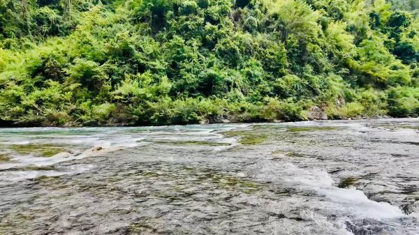 央視《綠水青山中國答卷》反響丨小江口村以生態(tài)實踐書寫“兩山”答卷