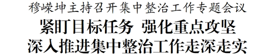 穆嵘坤主持召开集中整治工作专题会议