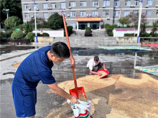 暖！沿河：雨天曬谷場上的“藍(lán)朋友”