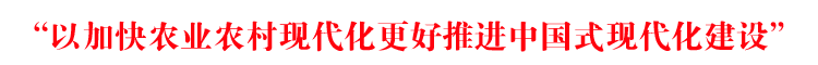 “以加快農(nóng)業(yè)農(nóng)村現(xiàn)代化更好推進中國式現(xiàn)代化建設(shè)”
