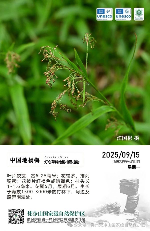 微信图片_2025-09-15_154831_791