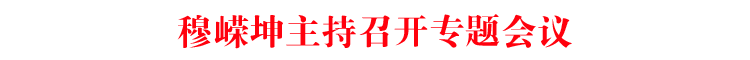 穆嵘坤主持召开专题会议
