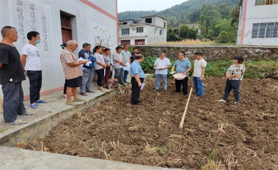 德江：抢抓农时忙秋种   科技服务正当时