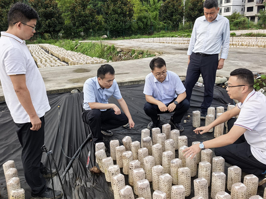 人保财险铜仁分公司：战暴雨、快理赔！  为灾后恢复“加速度”