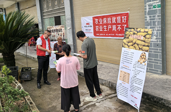 图片13