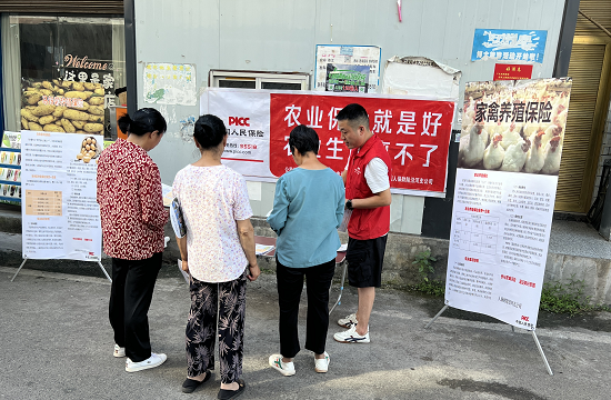图片12