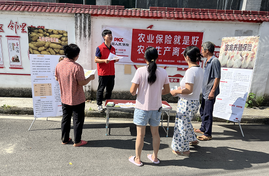 人保财险沿河支公司：农险宣传面对面  惠农政策暖人心