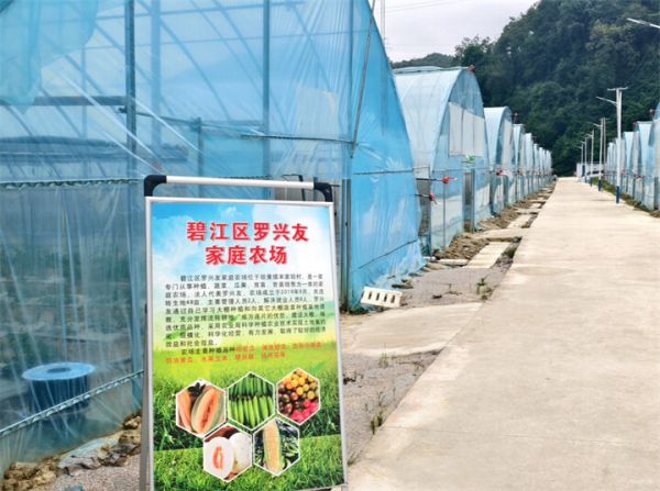 微信图片_2025-09-21_144955_607