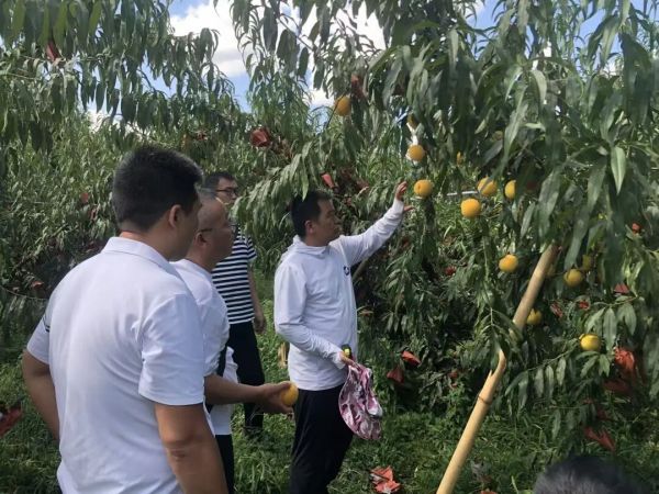 微信图片_2025-09-21_145446_965