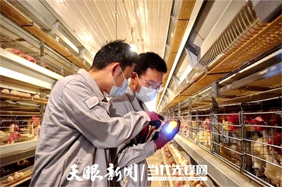 莞銅共建51個(gè)“菜籃子”直供大灣區(qū)