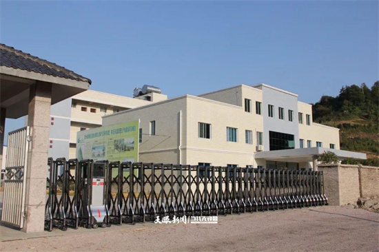 支持中小微企業(yè)破浪前行！“特色貸”精準(zhǔn)滴灌注入活力