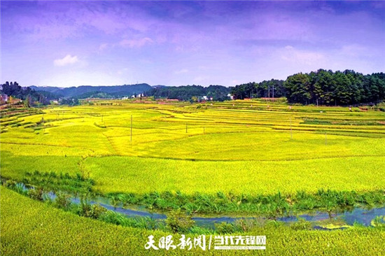 中国农民丰收节 | 一粒稻米酿出千般滋味