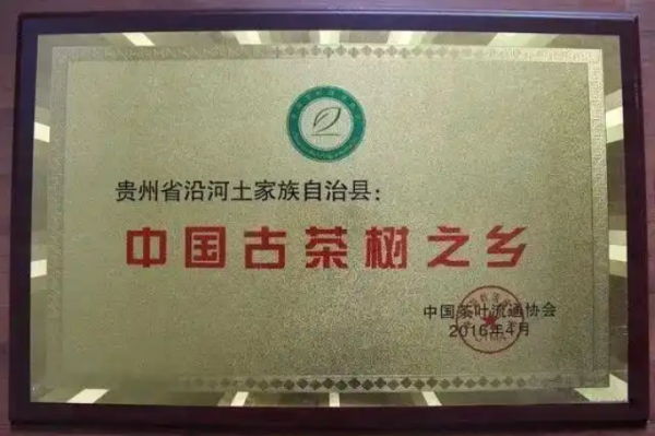 微信圖片_2025-09-24_200347_042