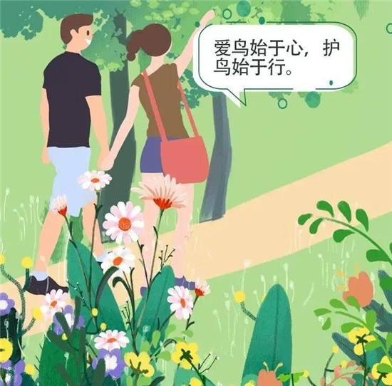 一起Get爱鸟护鸟小知识~