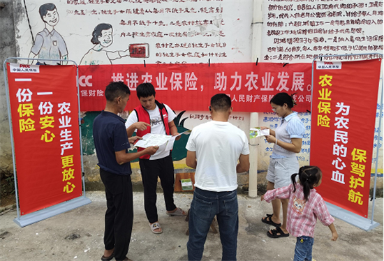 图片9