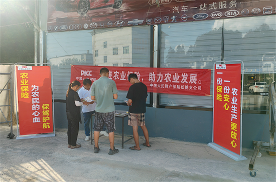 图片11