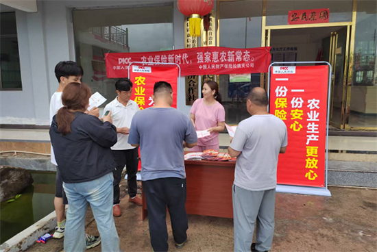 图片10
