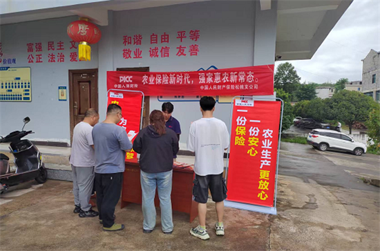 图片12