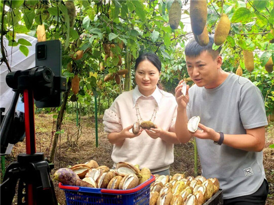 一周卖5万斤！德江这瓜太炸裂了