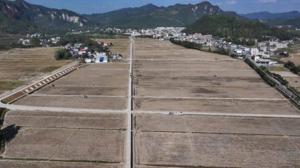 松桃：14万亩油菜种植全面推进 17台直播机高效助力
