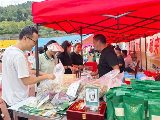 借得“梵超”东风劲 “仙草”绽放绿茵场
