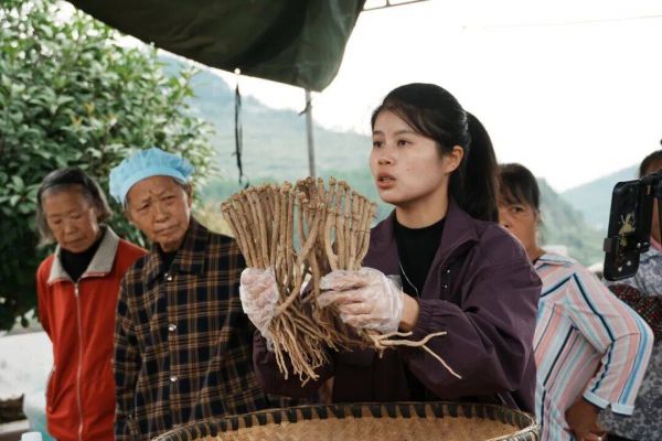 一场直播6小时,“山货”成交额超12万!