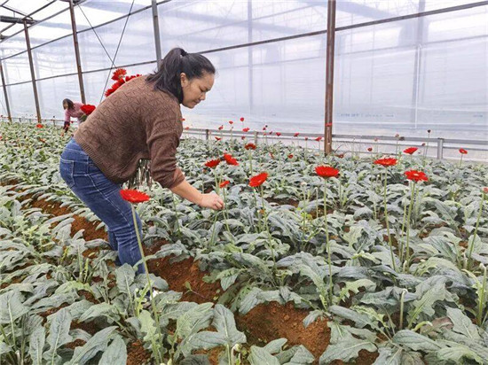 微信图片_2025-10-23_121358_166