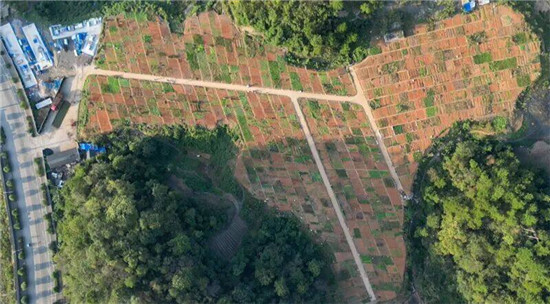 微信图片_2025-10-23_121414_271