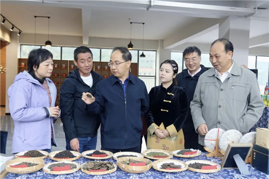 铜仁市政协常委视察团开展专题视察