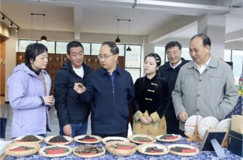 銅仁市政協常委視察團開展專題視察